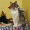 Отзыв от Ираида Дорофеева